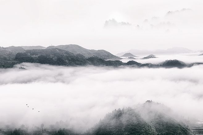 自考外国文学史复习笔记(东方文学之现代文学)