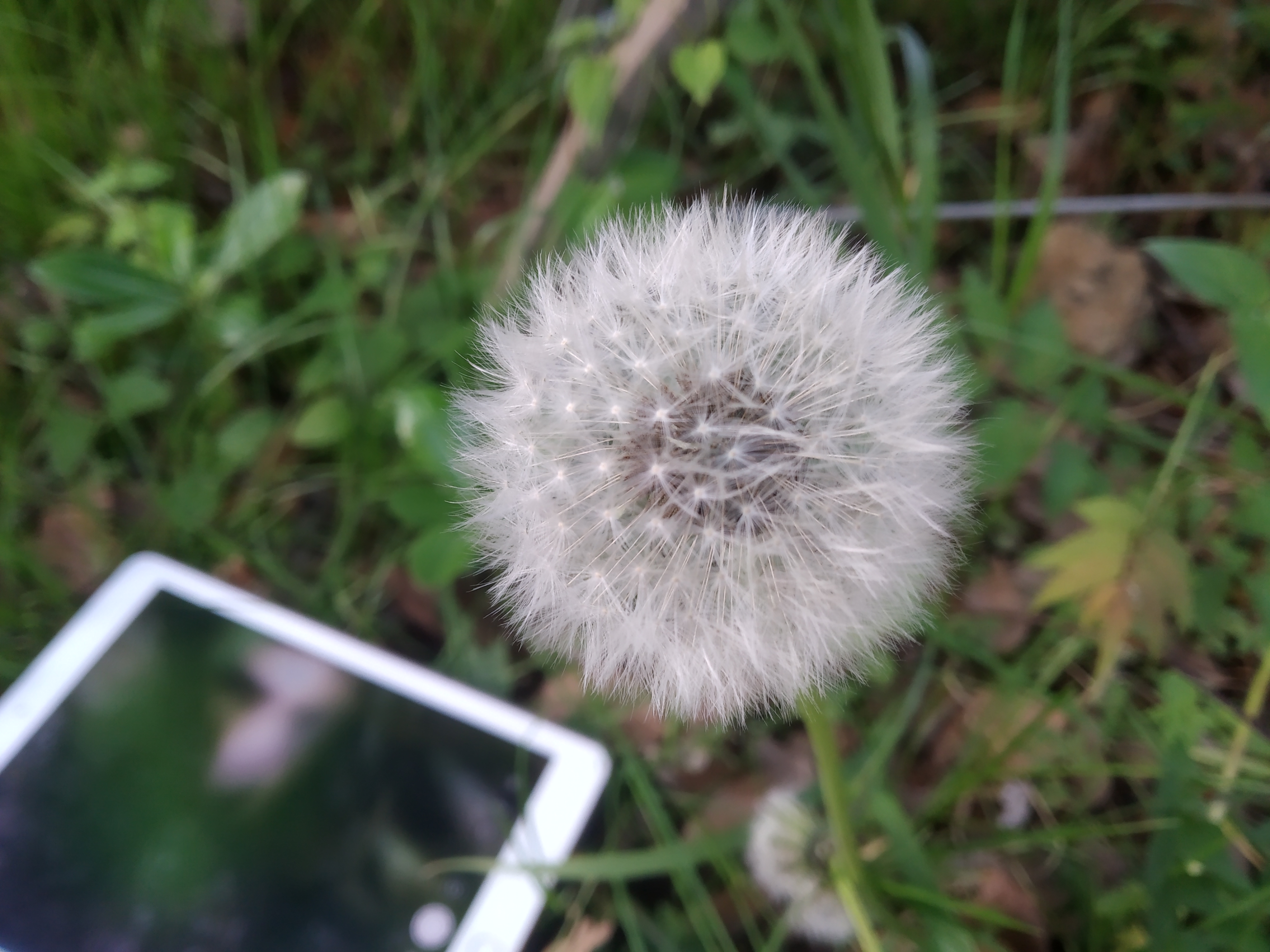 自考只看历年真题能考过吗?